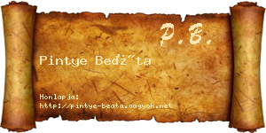 Pintye Beáta névjegykártya